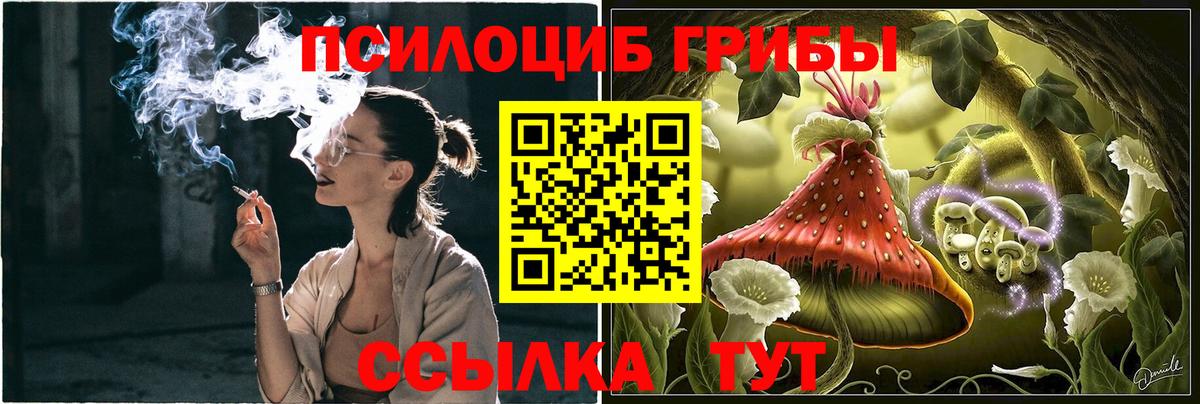 Псилоцибиновые грибы MAGIC MUSHROOMS Казань